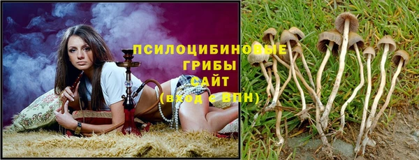 стафф Аркадак