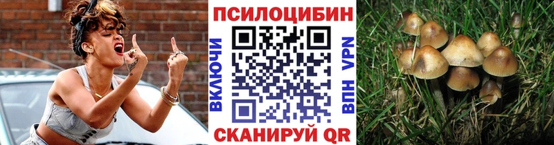 Галлюциногенные грибы Psilocybe  где продают   mega tor  Плавск 